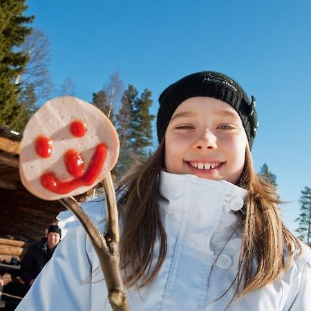 Skelleftea Camping المظهر الخارجي الصورة