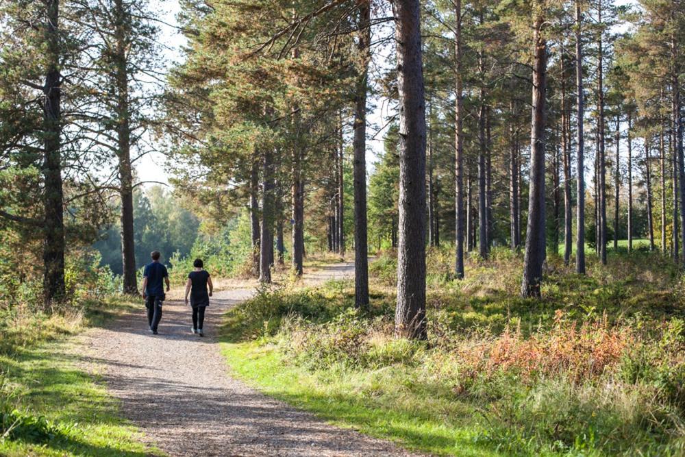 Skelleftea Camping المظهر الخارجي الصورة