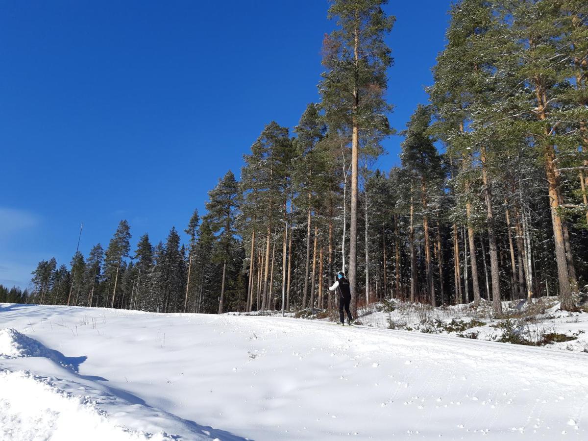 Skelleftea Camping المظهر الخارجي الصورة