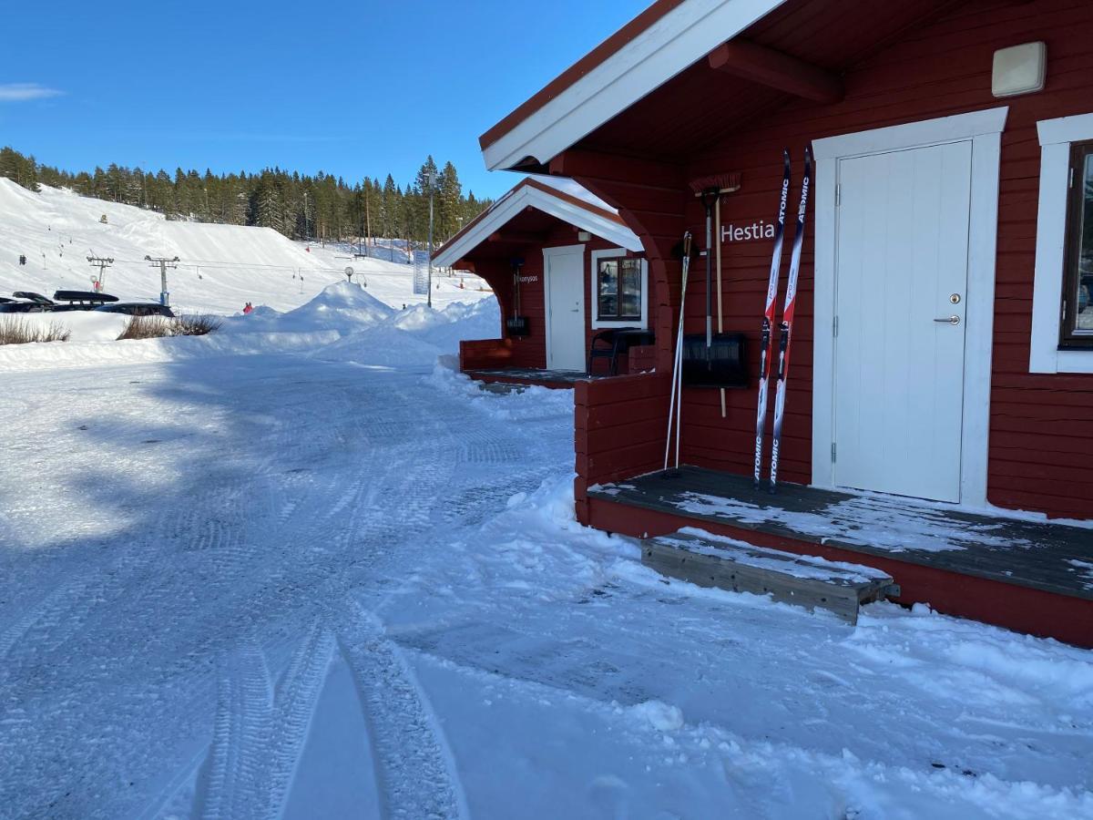 Skelleftea Camping المظهر الخارجي الصورة